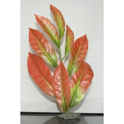 Roślinka do akwarium  Bonzai 25cm